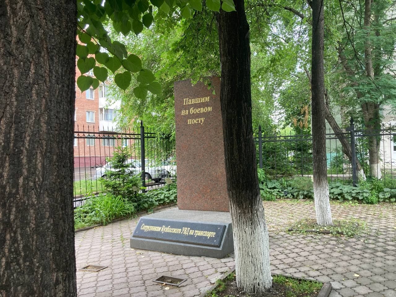 Фото студента КемГИК Беляевой Александры, 24 июня 2025 г.